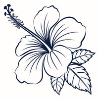 A Blue Hibiscus Flower With A Leaf — Stock Vector
