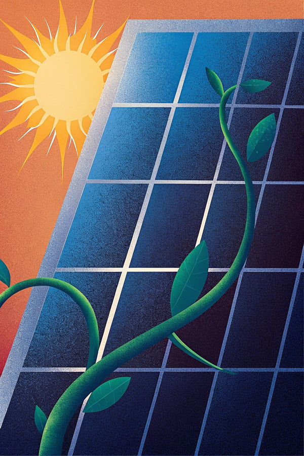 A Solar Panel With A Vine Growing On It Set Against A Sunny Sky Background — Stock Illustration