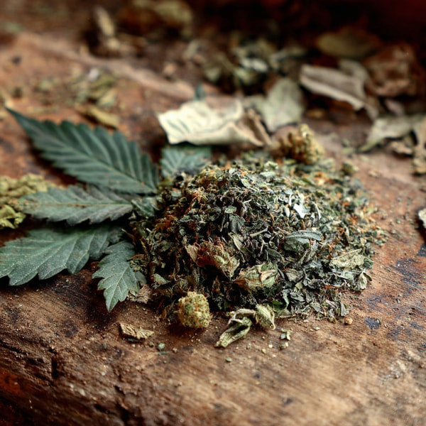 Dried Marijuana Leaves On A Table — Stock Photo