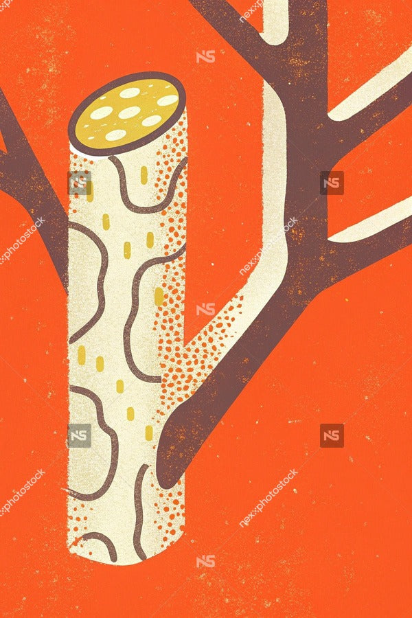 A Vintage Style Illustration Of A Tree Branch With A Small Pine Cone On It Against A Red Background — Stock Illustration