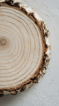 A Close Up Of A Tree Slice Showcasing Its Circular Patterns Emphasizing The Natural Beauty And Unique Texture Of The Wood — Stock Photo