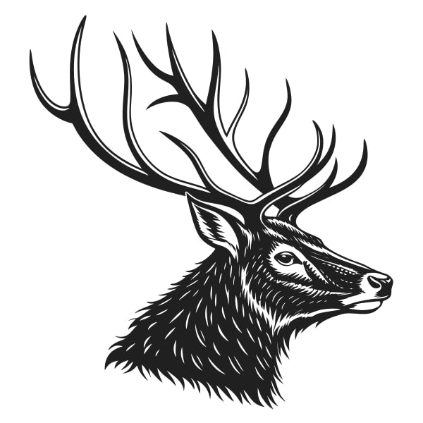 Black And White Illustration Of A Deer Head With Antlers Intricate Details And Shading To Give Depth And Texture — Stock Vector