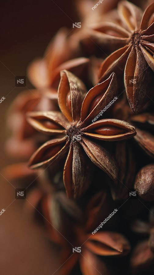 A Close Up Image Of A Spice Bundle With Star Anise Showcasing Its Unique Shape And Texture — Stock Photo