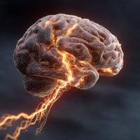 3d Rendering Of A Human Brain With Glowing Neural Pathways Against A Dark Background — Stock Photo