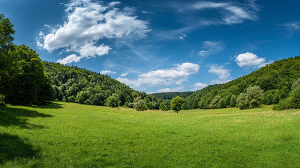 Aerial View Of A Lush Green Field Under A Blue Sky With Scattered Clouds — Stock Photo