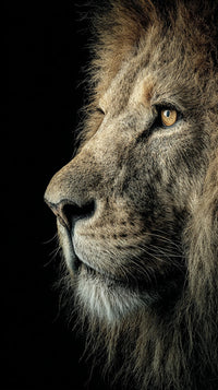Lion Portrait With A Close Up View Of Its Face Showcasing Its Powerful Features And Majestic Presence — Stock Photo