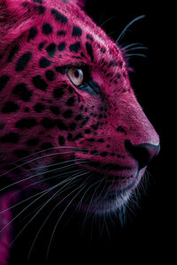 Leopard Portrait Against A Red Background — Stock Photo