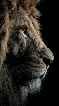 Lion Portrait With A Close Up View Of Its Face Showcasing The Majestic Animal S Powerful Gaze And Detailed Fur Texture — Stock Photo