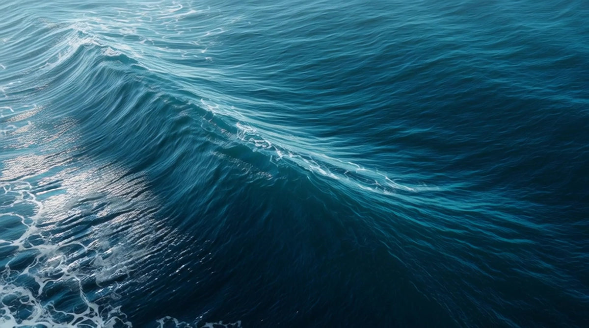 captures a powerful ocean wave with its crest and trough clearly visible against a deep blue background - Stock Video