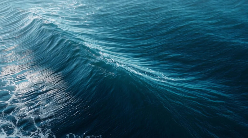 captures a powerful ocean wave with its crest and trough clearly visible against a deep blue background - Stock Video