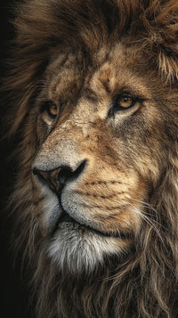 Lion Portrait With A Close Up View Of Its Face Showcasing The Majestic Animal S Powerful Features And Intricate Fur Patterns — Stock Photo