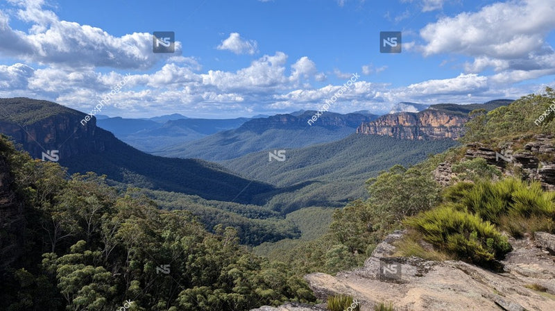 The Blue Mountains National Park Viewpoint A Picturesque Vantage Point Overlooking The Landscape Of The Blue Mountains In Australia — Stock Photo