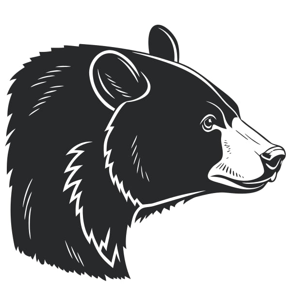 Black Bear Illustration — Stock Vector