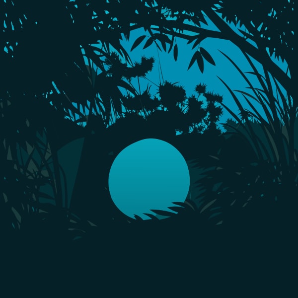 A Nighttime Forest Scene With A Large Illuminated Moon In The Sky And A Small Clearing With A Tree Trunk Visible — Stock Vector