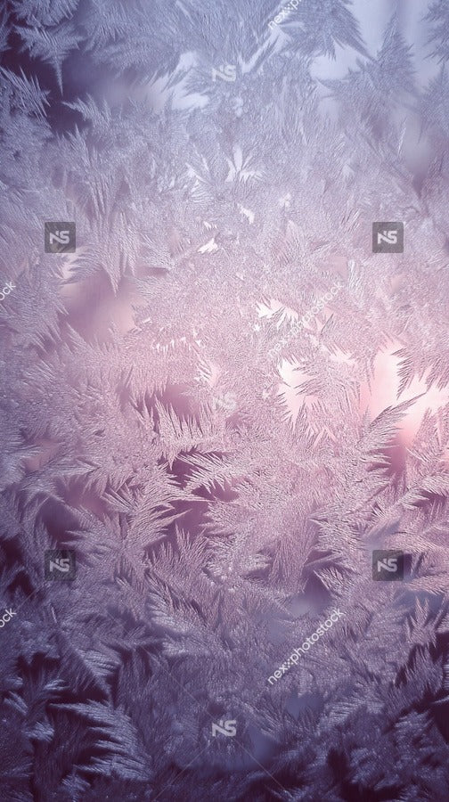 Purple Ice Crystal Pattern — Stock Photo
