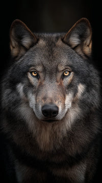 A Wolf Portrait With Striking Yellow Eyes Captured In A Close Up Shot Against A Dark Background — Stock Photo