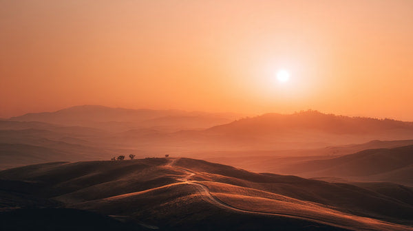 Desert Sunset — Stock Photo