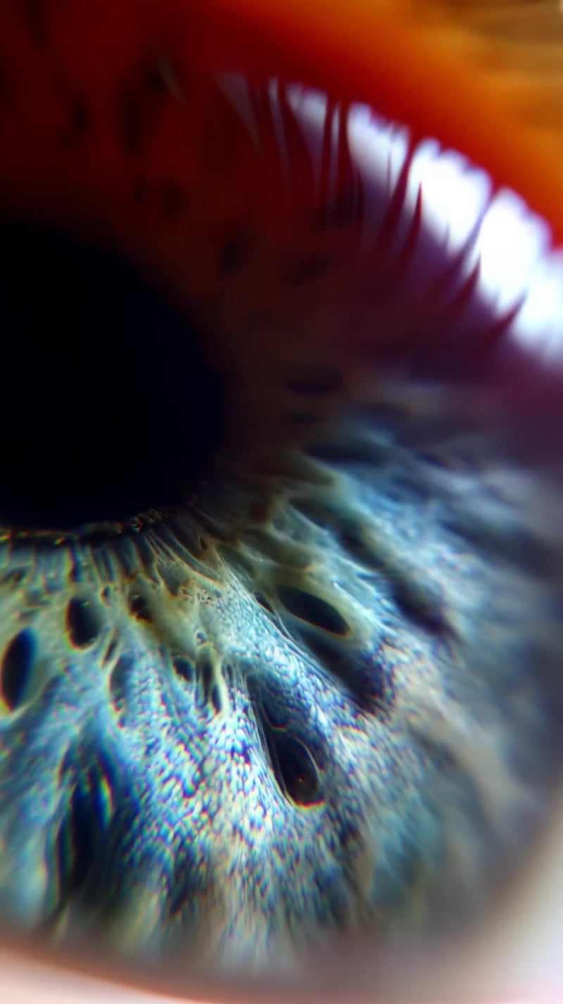 a close up of a human eye with blue iris and pupil showcasing intricate details and colors - Stock Video
