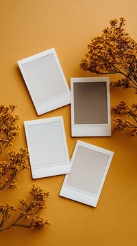 Four Polaroid Photos On A Table Arranged In A Square Formation Against A Blurred Background With Autumn Leaves And Branches — Stock Photo