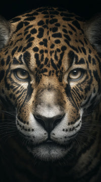 Jaguar Majestic And Intense Captured In A Close Up Portrait With Striking Eyes And Detailed Fur Patterns — Stock Photo