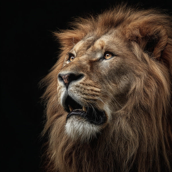 Lion Portrait With A Close Up View Of Its Face Showcasing Its Powerful Gaze And Detailed Fur Texture — Stock Photo