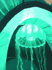Jellyfish Aquarium Decoration — Stock Illustration