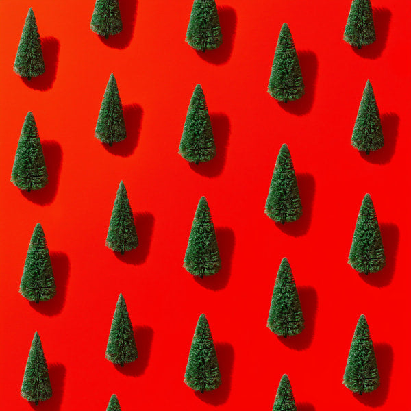 Displays A Collection Of Small Green Pine Trees Arranged In A Pattern Against A Solid Red Background — Stock Photo