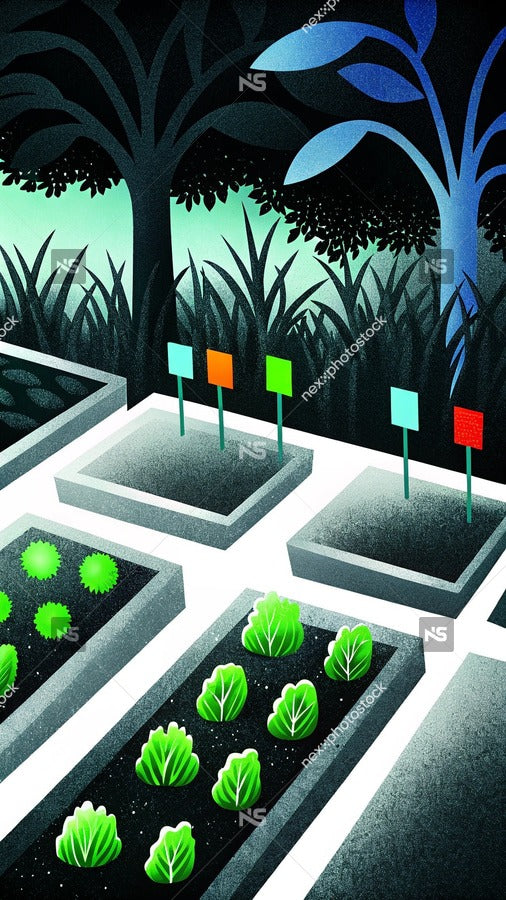 A Nighttime Garden Plotting With A Lit Lantern And Colorful Flags In The Ground Under A Dark Sky — Stock Illustration