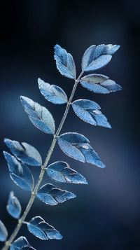 A Branch Of Leaves With Water Droplets Captured In A Close Up Shot Against A Dark Background — Stock Photo