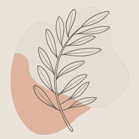Stylized Olive Leaf Illustration With A Minimalist Design A Single Olive Leaf In A Simple Clean Style Set Against A Plain Background — Stock Vector