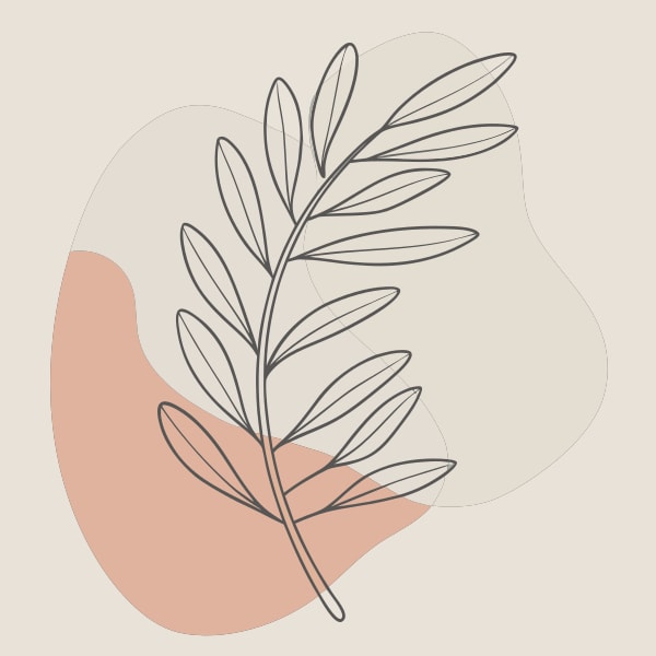 Stylized Olive Leaf Illustration With A Minimalist Design A Single Olive Leaf In A Simple Clean Style Set Against A Plain Background — Stock Vector