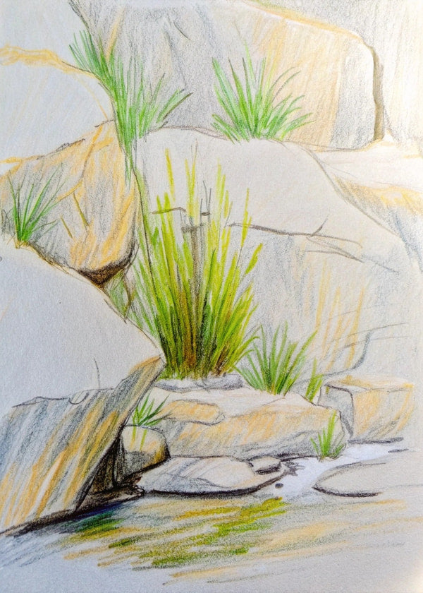 A Detailed Illustration Of A Rocky Stream With Patches Of Grass Depicted In A Realistic Style — Stock Illustration