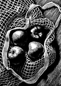 Basket Of Apples — Stock Illustration