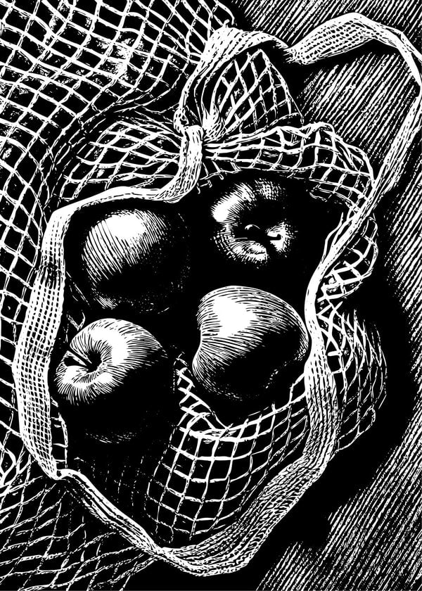 Basket Of Apples — Stock Illustration