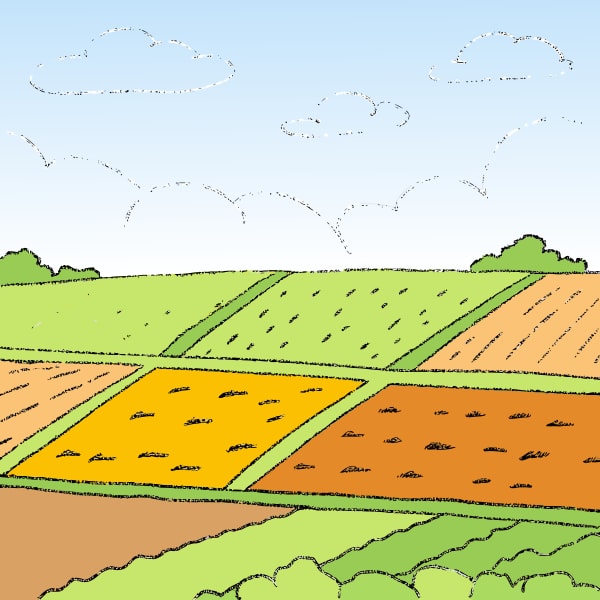 Aerial View Of A Farm With Plowed Fields And Crops In Various Stages Of Growth Showcasing Different Shades Of Green And Brown — Stock Vector