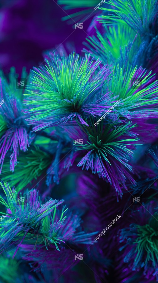 Vividly Colored Pine Needles In A Close Up Shot With A Purple Hue Dominating The Top Half Of The Image And Blue Tones — Stock Photo