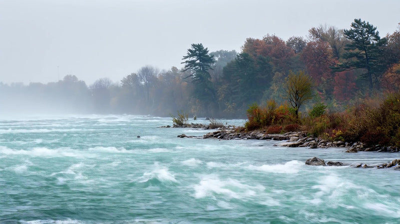 autumnal river rapids - Stock Video