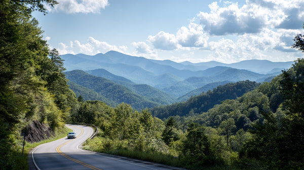 Showcases A Picturesque Mountain Road With A Winding Highway Cutting Through The Lush Greenery Of The Mountains — Stock Photo