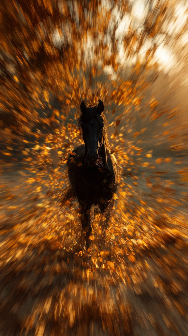 A Horse Galloping Through A Field Of Fallen Leaves Captured In A Time Lapse Photo With Motion Blur Effect — Stock Photo