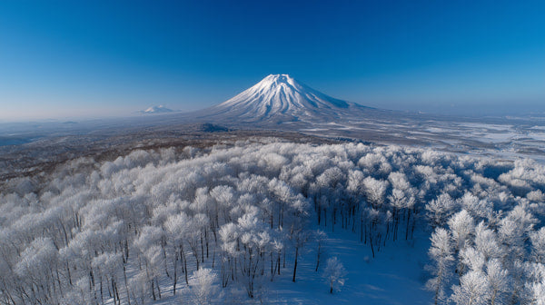 A Breathtaking View Of A Snow Covered Mountain Landscape The Majestic Mt Fuji In The Background — Stock Photo