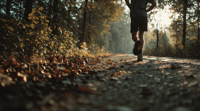 a lone runner jogging down a damp path in a park during sunset with fallen leaves scattered along the trail - Stock Video