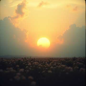 Dawn Will Find Us