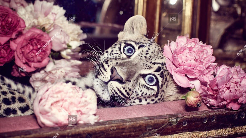 Leopard With Pink Flowers — Stock Photo