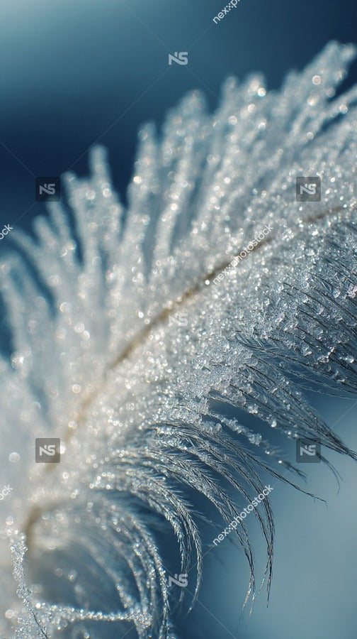 Close Up Of Frost On A Feather — Stock Photo