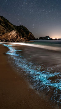 Showcases A Nighttime Beach Scene With A Mesmerizing Blue Light Phenomenon On The Shoreline — Stock Photo