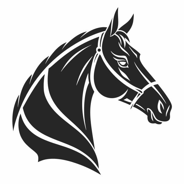 Black Horse Head — Stock Vector