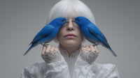 A Human Portrait With Two Blue Birds Perched On Their Hands Set Against A White Background — Stock Photo