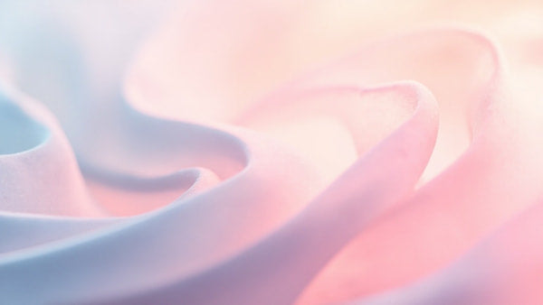Pink Flower Petals — Stock Photo