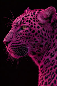 Leopard Portrait Against A Pink Background — Stock Photo