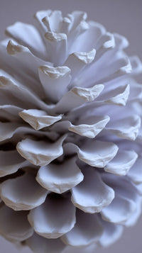 A Close Up Image Of A Pine Cone With Detailed Texture Showcasing Its Natural Patterns And Surface Variations — Stock Photo